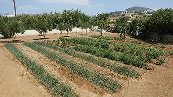 Glyfada Beach Studios Lejlighedshotel 3*